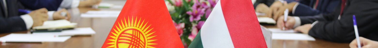 Состоялась встреча заместителя министра Нурлана Омурова с заместителем Государственного секретаря кабинета Премьер-министра Венгрии д-ром Мартоном Угрожди и Чрезвычайным и Полномочным Послом Венгрии в Кыргызской Республике Шандором Дороги.