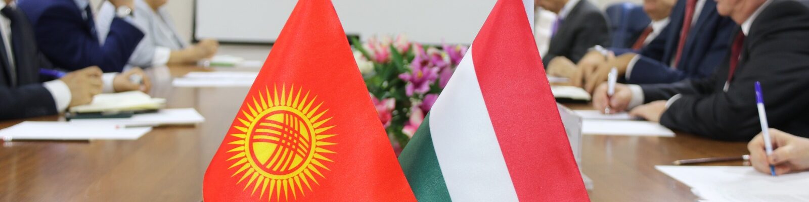 Состоялась встреча заместителя министра Нурлана Омурова с заместителем Государственного секретаря кабинета Премьер-министра Венгрии д-ром Мартоном Угрожди и Чрезвычайным и Полномочным Послом Венгрии в Кыргызской Республике Шандором Дороги.